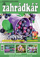 Zahrdk - titul