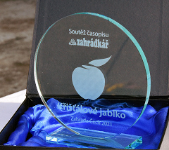 Podium